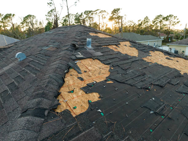 Best Green or Eco-Friendly Roofing Solutions  in Delphi, IN