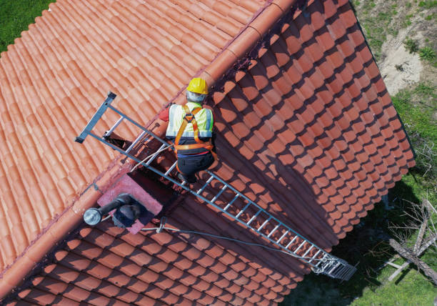 Best Roof Ventilation Installation  in Delphi, IN