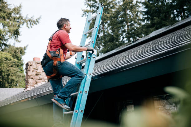 Best 4 Ply Roofing  in Delphi, IN