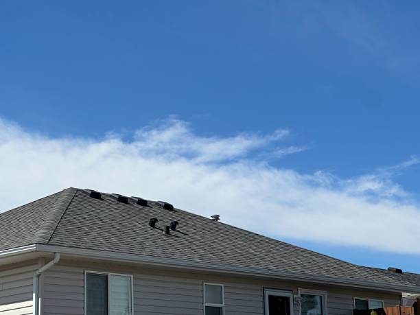 Best Flat Roofing  in Delphi, IN